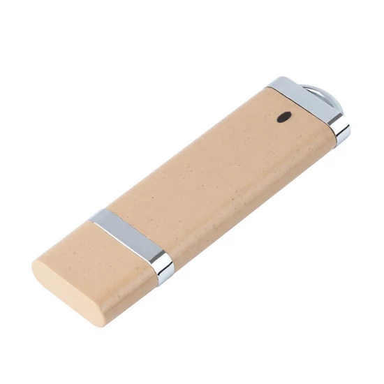 Washington Eco pendrive