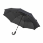 Kép 1/2 - Ferraghini mini esernyő